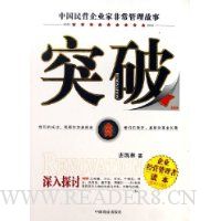 突破:中国民营企业家非常管理故事