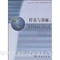  �ʻ��뾣��:̽Ѱ�й���ҵȫ��֮·