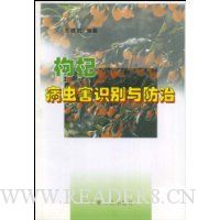  轲溦ʶ