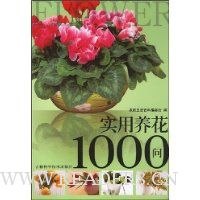  ʵ1000