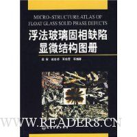  ������������ȱ����΢�ṹͼ��