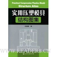  ʵ��ѹ��ģ�߽ṹͼ��