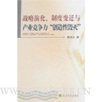 战略演化、制度变迁与产业竞争力\