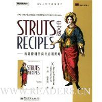  STRUTS RECIPESİ桪ȹ̵Ӧò