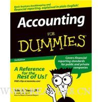  Accounting For Dummies