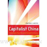  Capitalist China: Strategies for a Revolutionized Economy