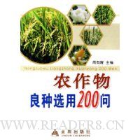  ũѡ200