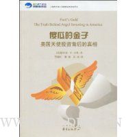 傻瓜的金子:美国天使投资背后的真相