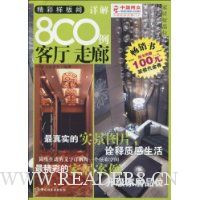 精彩样板间详解800例:客厅 走廊