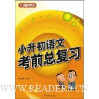 小升初语文考前总复习