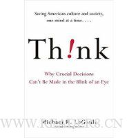  Think!: Why Crucial Decisions Can't Be Made in the Blink of an Eye