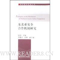  �����ǰ�ȫ���������о�