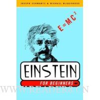  Einstein for Beginners