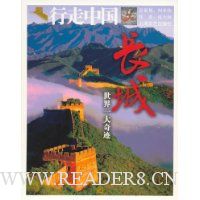  ����:����һ���漣