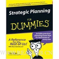  Strategic Planning For Dummies