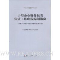  С����ҵ���񱨱���ƹ����׸����ָ��(���������ִ����ҵ���׼���С����ҵ)