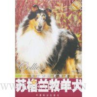 苏格兰牧羊犬