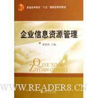 企业信息资源管理