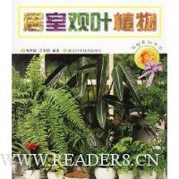 居室观叶植物