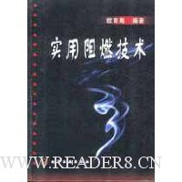  ʵ����ȼ����