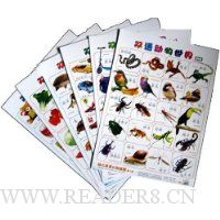  �׶�˫����֪��ͼ(��2��)(��װ��6��)