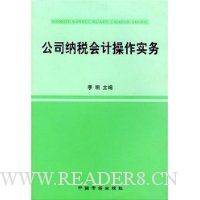 公司纳税会计操作实务