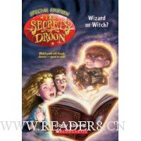  Secrets of Droon Special Edition #2: Wizard&nbsp;or&nbsp;Witch?