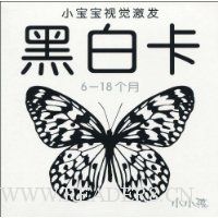 小宝宝视觉激发:黑白卡(6-18个月)