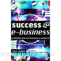 Success E-Business: Profitable Internet Business & Commerce
