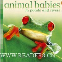  Animal Babies in Ponds and Rivers