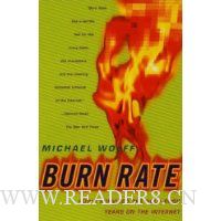  Burn Rate: How I Survived the Gold Rush Years on the Internet