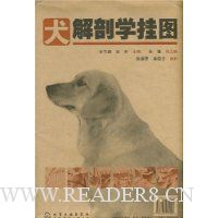 犬解剖学挂图