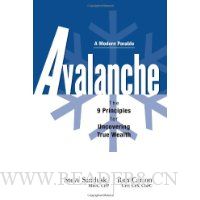  Avalanche: The 9 Principles for Uncovering True Wealth