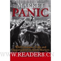  Market Panic: Wild Gyrations, Risks and Opportunites in Stock Markets