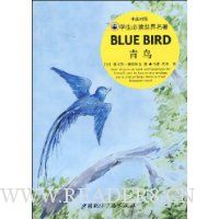  ����(��Ӣ����)