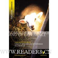 York Notes on William Blake's \