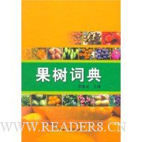  �����ʵ�