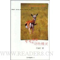 可可西里的动物精灵