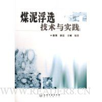 煤泥浮选技术与实践
