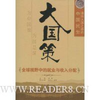 大国策:通向大国之路的中国民生.全球视野中的就业与收入分配