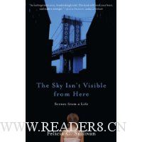 The Sky Isn't Visible from Here: Scenes from a Life