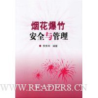 烟花爆竹安全与管理