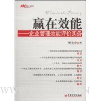 赢在效能:企业管理效能评价实务