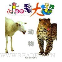  С�۾���������:����