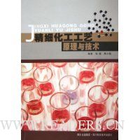 精细化工工艺原理与技术
