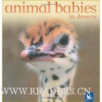  Animal Babies in Deserts