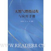 天然气燃烧过程与应用手册
