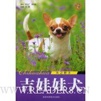 吉娃娃犬:天之娇子