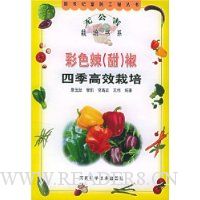 彩色辣(甜)椒四季高效栽培