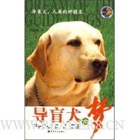 导盲犬之梦